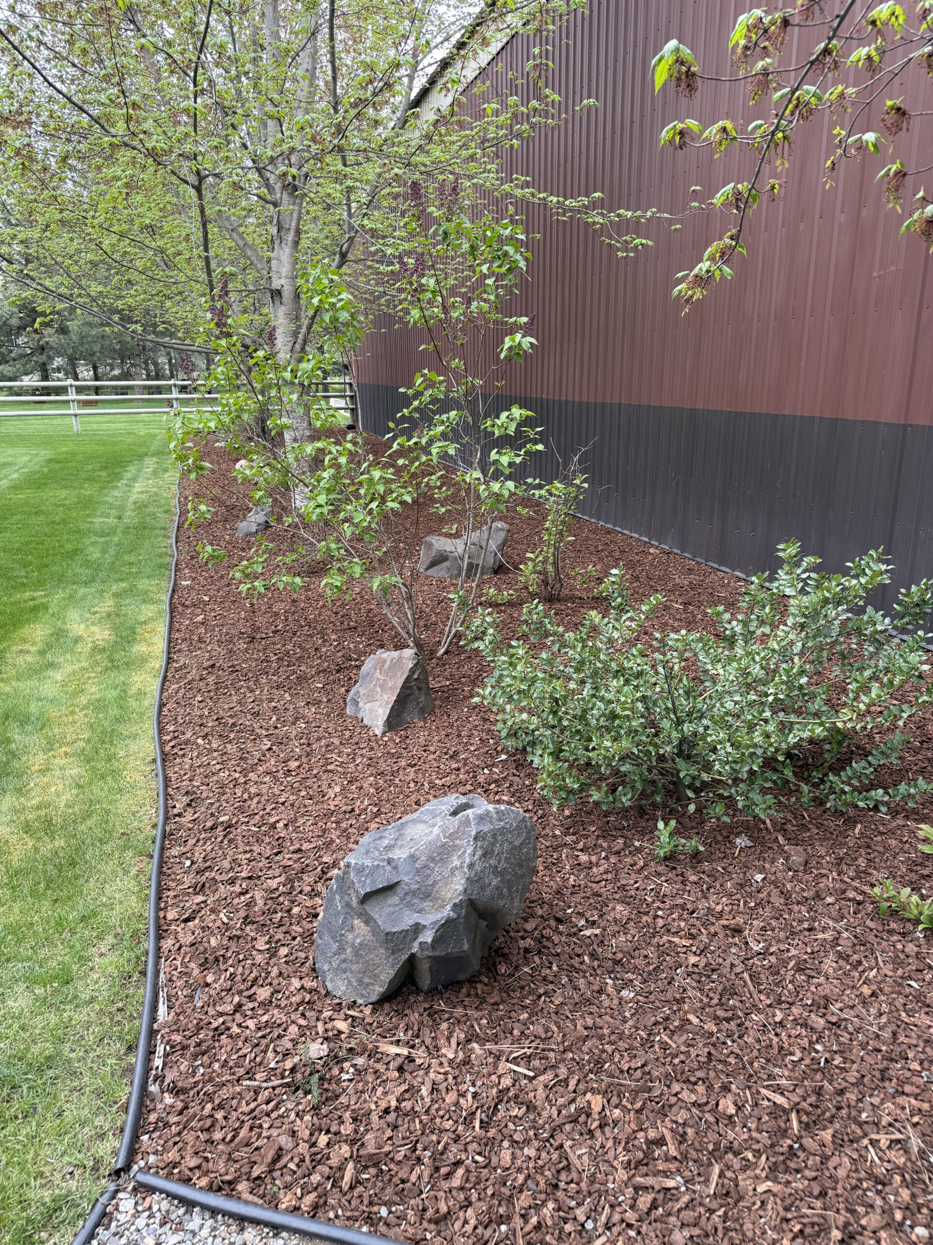 edging and setting up a bed for plants